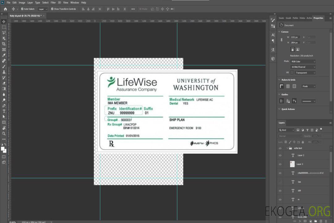 Carte d'assurance maladie d'entreprise LifeWise de l'Université de Washington aux États-Unis template